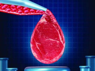 Lab-Grown Meat: Exploring Potential Benefits and Challenges of Cellular Agriculture