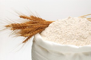 Savor: Vital Wheat Gluten