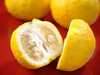 Do You Yuzu? A New Citrus and the Power of Plant Pigments