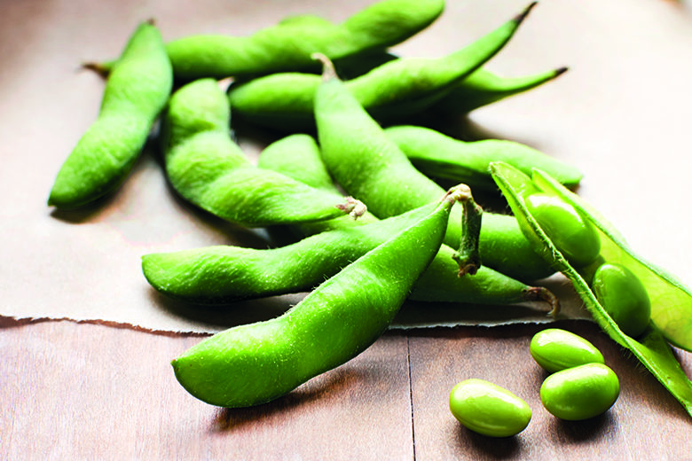 Edamame: A Baby Bean Comes Out of its Shell