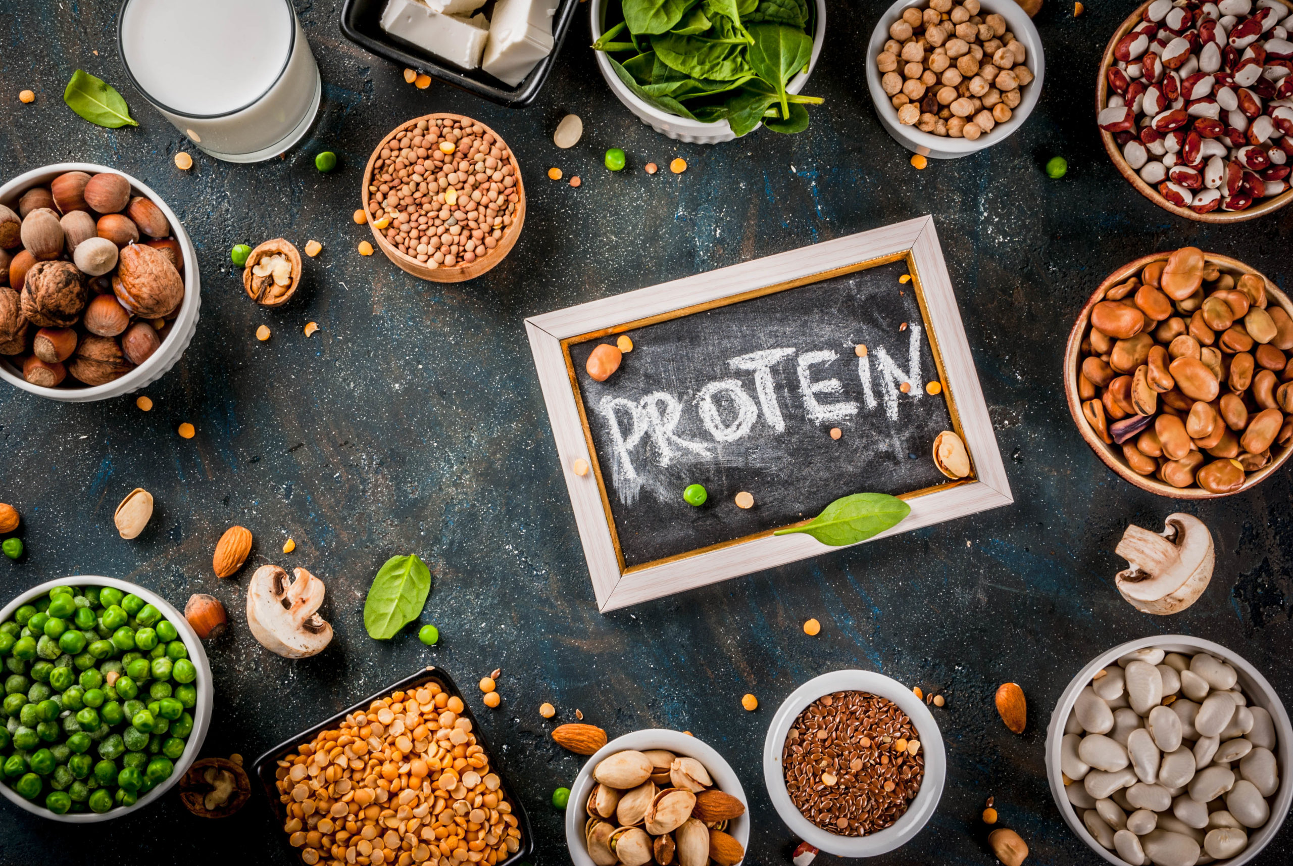 Welcome to the World of Vegetarian Proteins - Food & Nutrition Magazine
