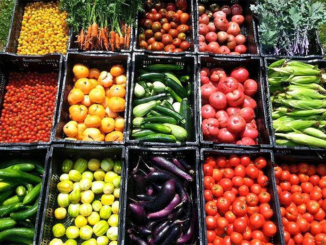 Many types of fresh produce in bins