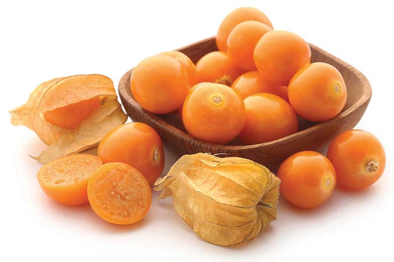 Why are Golden Berries Gaining Popularity?