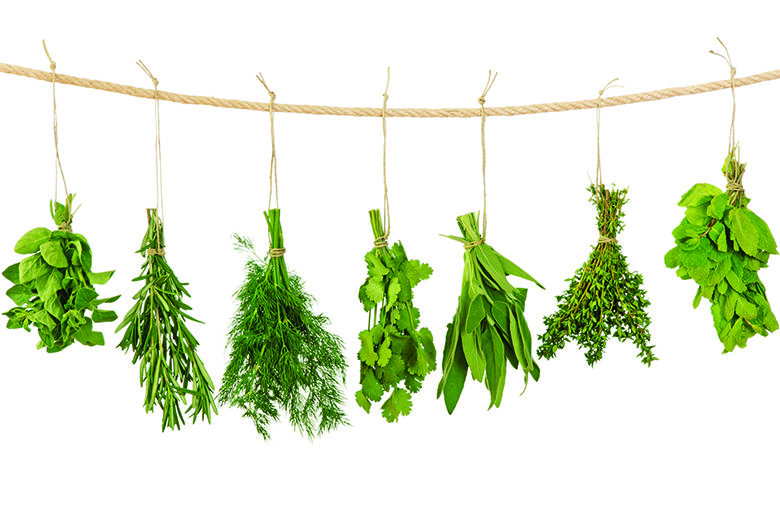 Assortment Of Herbs And Spices For Cooking Isolated On A White