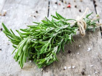 The Many Redeeming Qualities of Rosemary