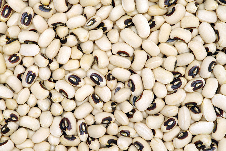 Black-eyed Beans texture