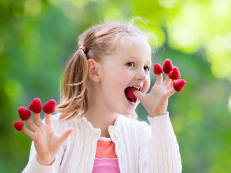 Child picking and eating raspberry
