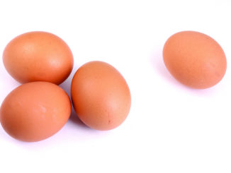 Four eggs in shell on white background