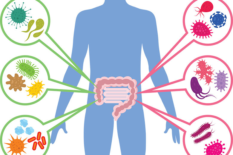 Stopping the Leak: Leaky Gut, Leaky Brain and Beyond