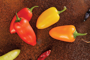 Chili Peppers Are Hot Stuff