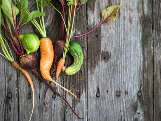 Ugly carrot, beetroot and cucumber